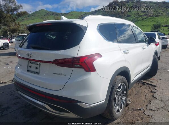 KM8S3DA14MU008854 2021 HYUNDAI SANTA FE HYBRID White Задня права чверть