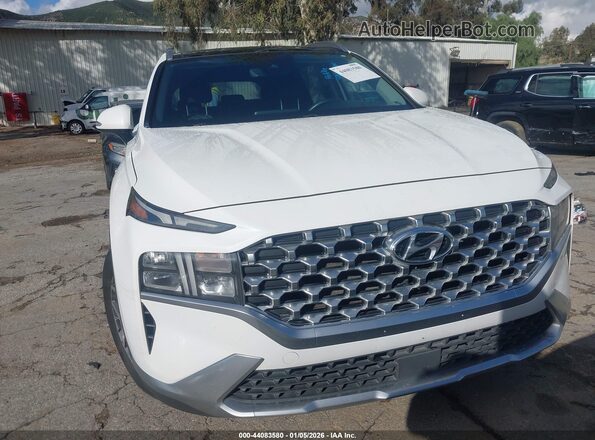 KM8S3DA14MU008854 2021 HYUNDAI SANTA FE HYBRID White Вид спереду