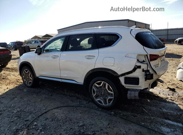 KM8S5DA12MU006644 2021 HYUNDAI SANTA Белый Задняя левая четверть