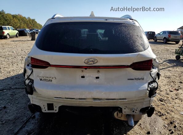 KM8S5DA12MU006644 2021 HYUNDAI SANTA Белый Вид сзади