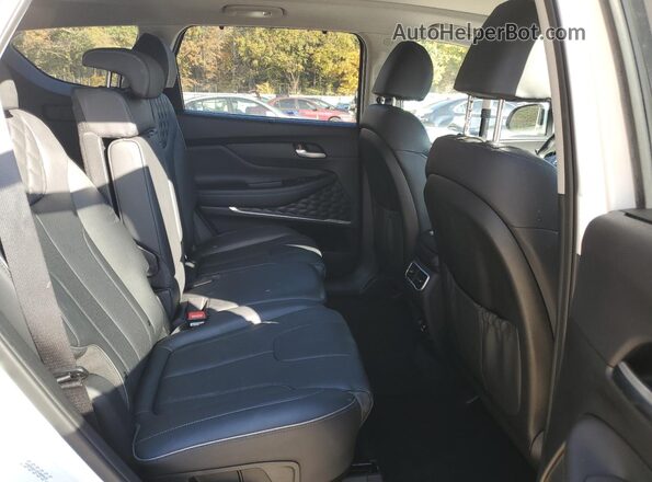 KM8S5DA12MU006644 2021 HYUNDAI SANTA Белый Вид задней части салона