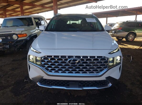 KM8S5DA13NU035281 2022 HYUNDAI SANTA FE HYBRID White Սալոնի հետևի տեսք