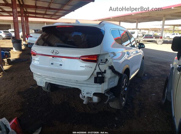 KM8S5DA13NU035281 2022 HYUNDAI SANTA FE HYBRID White Հետևի աջ
