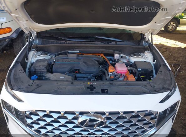 KM8S5DA13NU035281 2022 HYUNDAI SANTA FE HYBRID White Հետևի տեսք