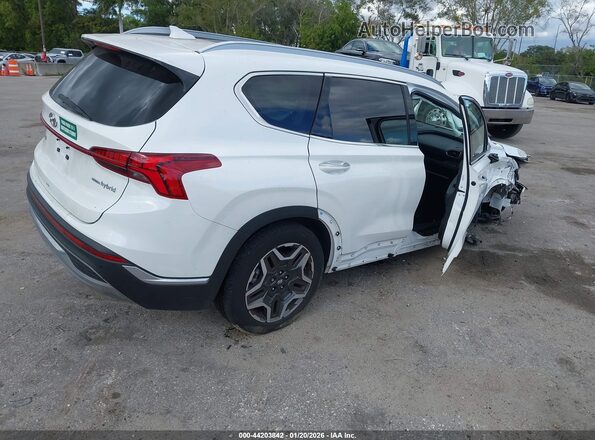 KM8S5DA17NU054495 2022 HYUNDAI SANTA FE HYBRID White Tył prawy