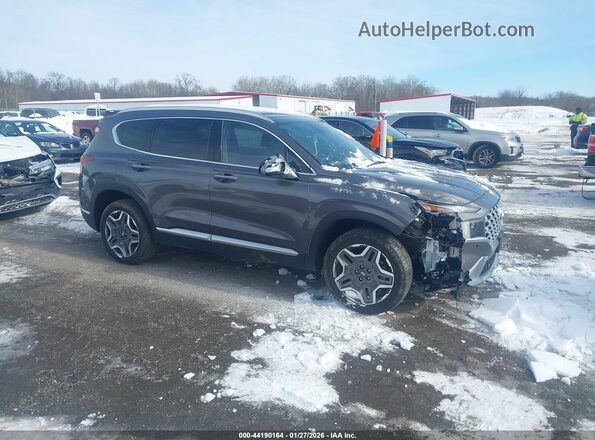 KM8S7DA25PU100007 2023 HYUNDAI SANTA FE PLUG-IN HYBRID Серый Вид задней части салона