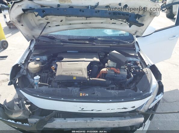 KMHC65LC8KU178745 2019 HYUNDAI IONIQ HYBRID Белый Вид сзади