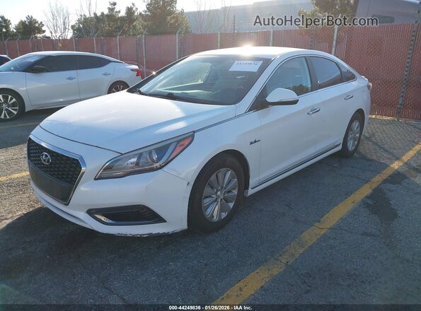 KMHE24L16GA012357 2016 HYUNDAI SONATA HYBRID Белый Передняя левая четверть
