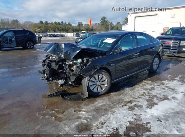 KMHE24L1XHA044231 2017 HYUNDAI SONATA HYBRID Черный 