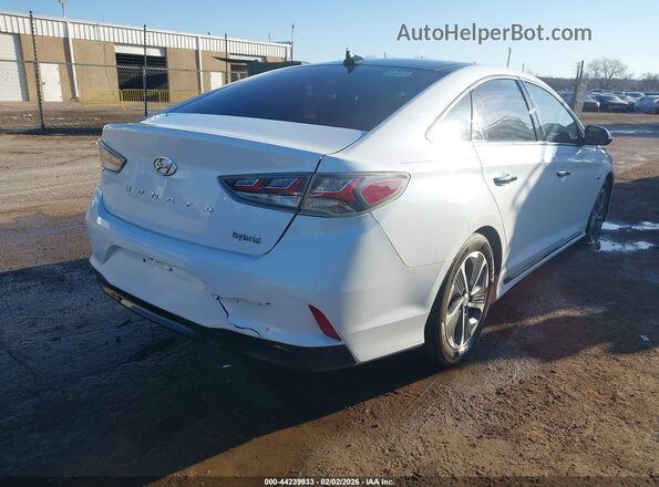 KMHE34L39KA093197 2019 HYUNDAI SONATA HYBRID White უკანა მარჯვენა