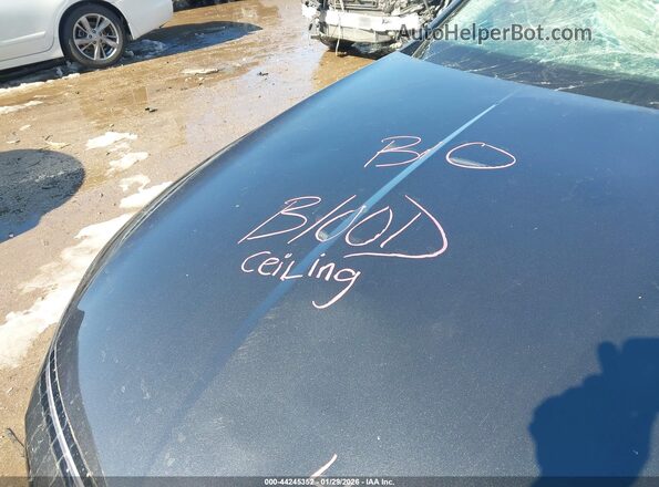 KMHL24JA5SA459782 2025 HYUNDAI SONATA Gray უკანა სავარძლების ხედი