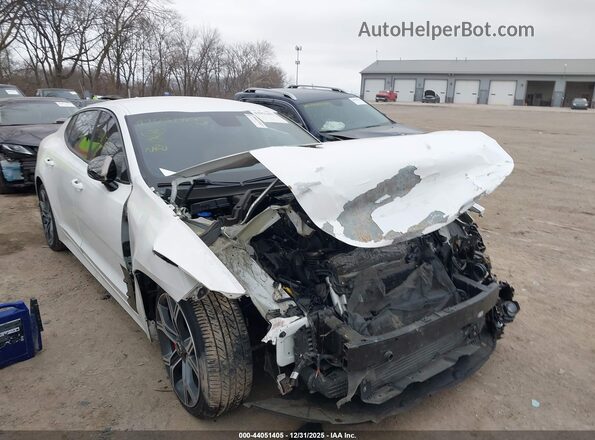 KNAE35LC6L6085442 2020 KIA STINGER Белый 