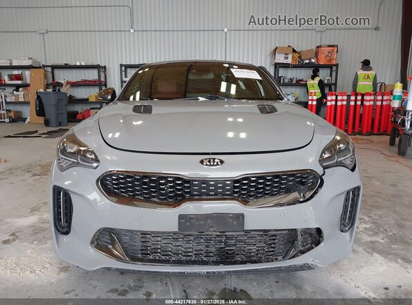 KNAE45LC4L6073366 2020 KIA STINGER Gray 