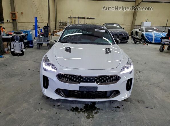 KNAE55LC3P6130059 2023 KIA STINGER Белый Вид спереди