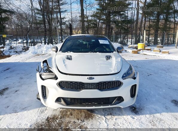KNAE55LC5M6090756 2021 KIA STINGER White Вид задньої частини салону