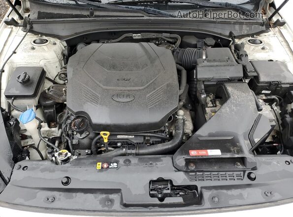 KNALC4J10K5166735 2019 KIA CADENZA Белый Вид задней части салона