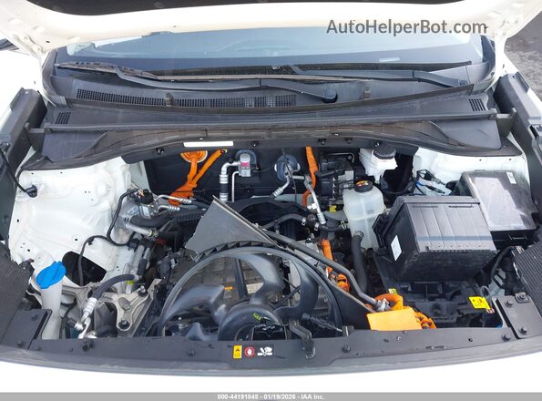 KNDCC3LG3M5107258 2021 KIA NIRO EV White უკანა ხედი