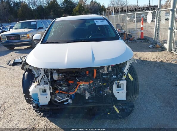 KNDCP3LE8S5304619 2025 KIA NIRO White Rear interior view