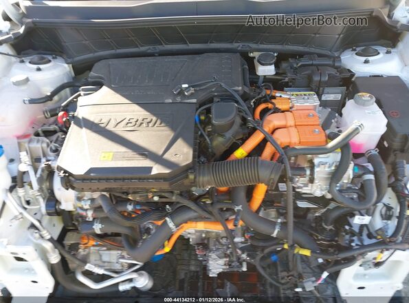 KNDCP3LE8S5304619 2025 KIA NIRO White Rear view
