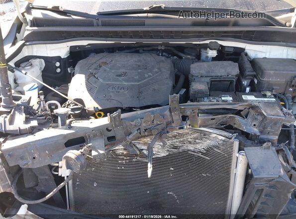 KNDMB5C13K6500263 2019 KIA SEDONA Белый Вид сзади