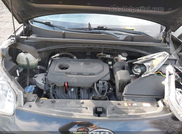 KNDP63AC9L7731948 2020 KIA SPORTAGE Black Rear view
