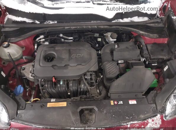 KNDP6CAC8M7852178 2021 KIA SPORTAGE Red უკანა ხედი