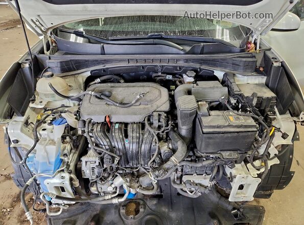 KNDPM3AC4M7866410 2021 KIA SPORTAGE Белый Вид подкапотного пространства