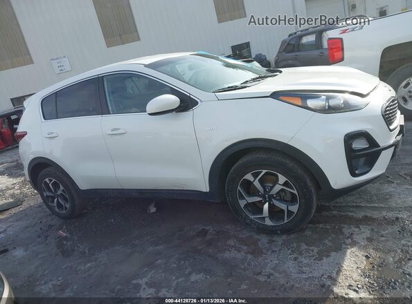 KNDPMCAC1L7796251 2020 KIA SPORTAGE White Вид задньої частини салону