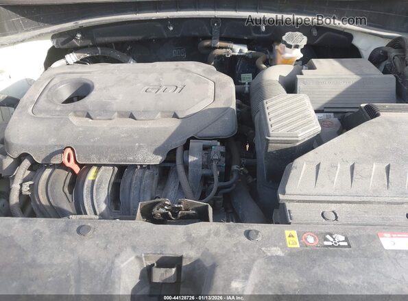 KNDPMCAC1L7796251 2020 KIA SPORTAGE White Вид ззаду