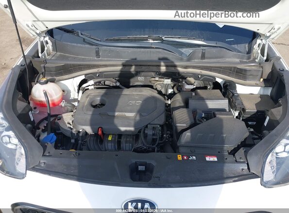 KNDPMCAC8M7892945 2021 KIA SPORTAGE Белый Вид сзади