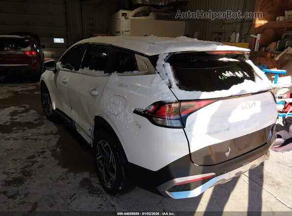 KNDPU3DF9R7237917 2024 KIA SPORTAGE White Tył lewy