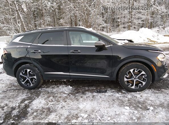 KNDPVCAG8P7030331 2023 KIA SPORTAGE HYBRID Black Вид задньої частини салону