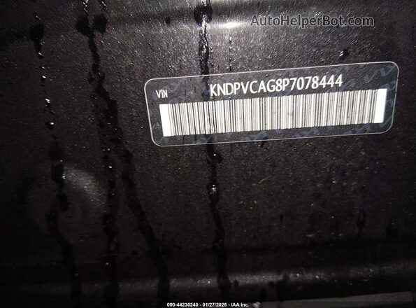 KNDPVCAG8P7078444 2023 KIA SPORTAGE HYBRID Black Շարժիչի բաժամունքի տեսք