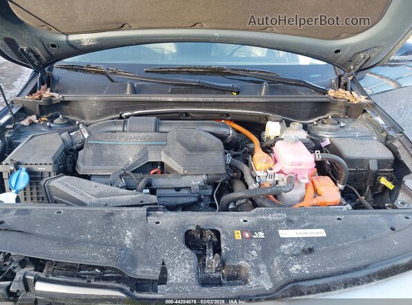 KNDPVCAGXP7108916 2023 KIA SPORTAGE HYBRID Blue Widok z tyłu