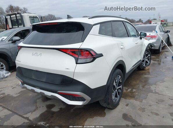 KNDPVCDG4R7128609 2024 KIA SPORTAGE HYBRID White უკანა მარჯვენა