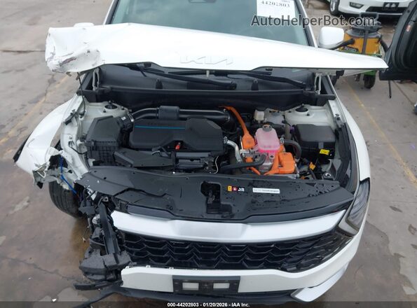 KNDPVCDG4R7128609 2024 KIA SPORTAGE HYBRID White უკანა ხედი