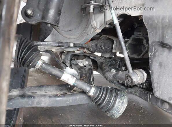KNDPVCDG4R7128609 2024 KIA SPORTAGE HYBRID White 