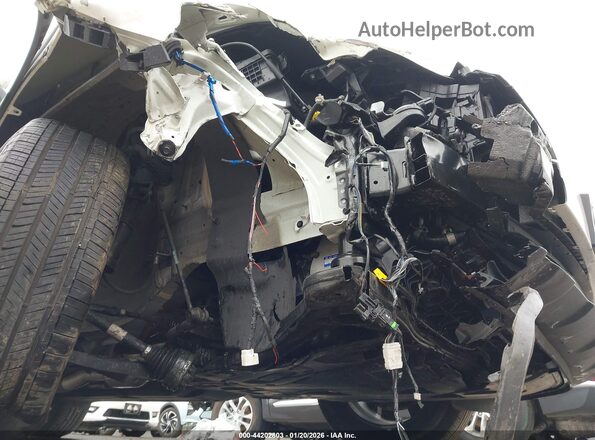 KNDPVCDG4R7128609 2024 KIA SPORTAGE HYBRID White 