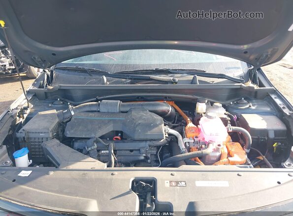 KNDPVCDG5R7134158 2024 KIA SPORTAGE HYBRID Gray Widok z tyłu