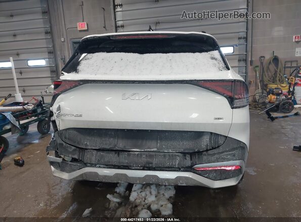 KNDPVCDGXR7134706 2024 KIA SPORTAGE HYBRID Белый 