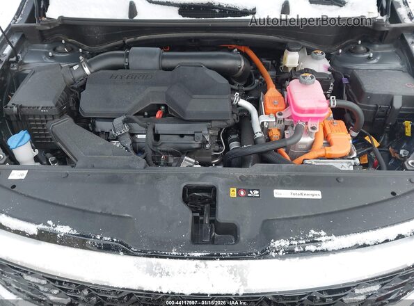 KNDPVCDGXS7203853 2025 KIA SPORTAGE HYBRID Gray Widok z tyłu