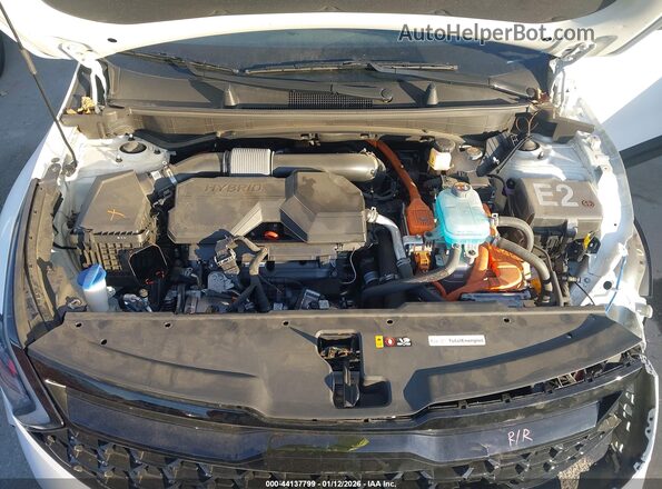 KNDPYDDHXS7215670 2025 KIA SPORTAGE PLUG-IN HYBRID White Вид ззаду