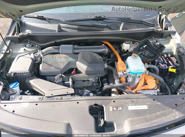 KNDPZDAH5P7107000 2023 KIA SPORTAGE PLUG-IN HYBRID Green Հետևի տեսք