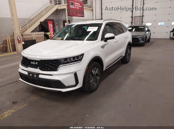 KNDRGDLGXN5123799 2022 KIA SORENTO HYBRID White 