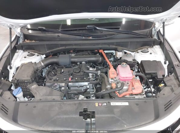 KNDRGDLGXN5123799 2022 KIA SORENTO HYBRID White 