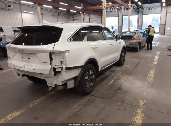 KNDRGDLGXN5123799 2022 KIA SORENTO HYBRID White 