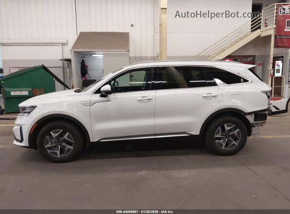 KNDRGDLGXN5123799 2022 KIA SORENTO HYBRID White 