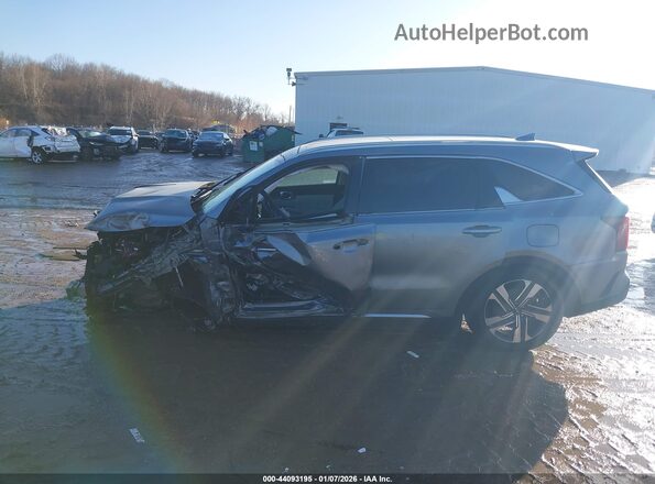 KNDRKDLG2P5208993 2023 KIA SORENTO HYBRID Silver 