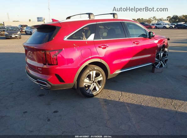 KNDRMDLH1P5152841 2023 KIA SORENTO PLUG-IN HYBRID Burgundy უკანა მარჯვენა