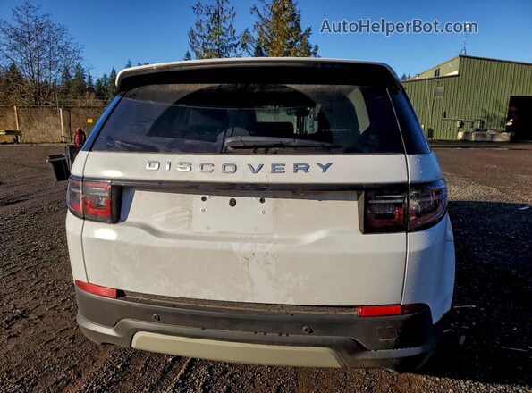 SALCJ2FX6MH903442 2021 LAND ROVER DISCOVERY White Rear view